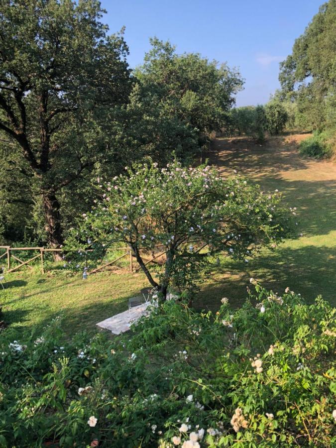 L'antico Molino Bed and breakfast *
