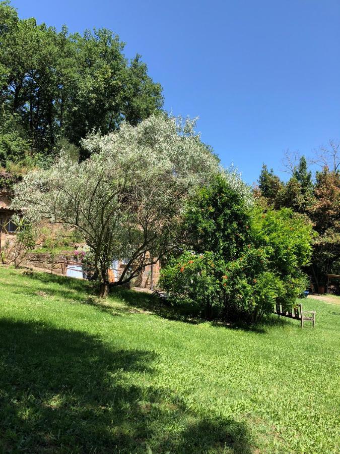 L'antico Molino Bed and breakfast