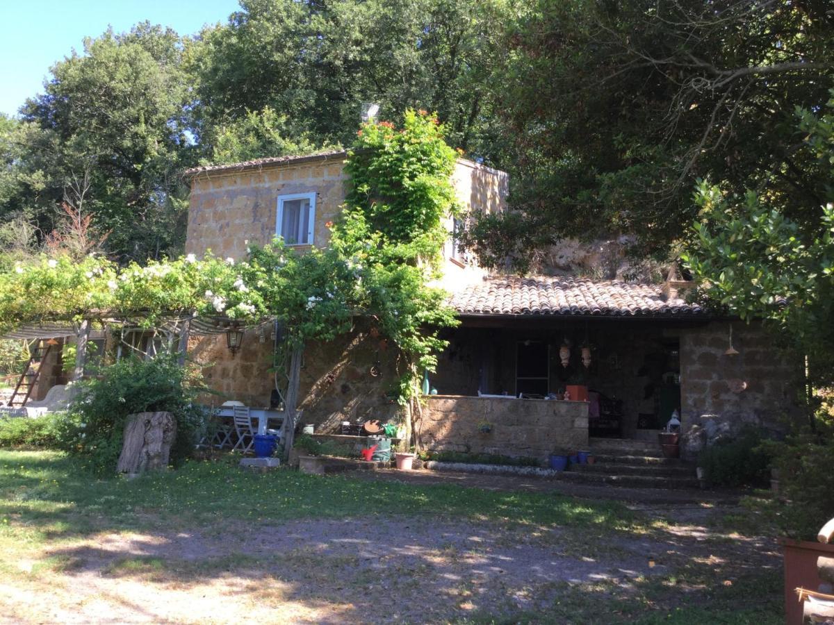 Bed and breakfast L'antico Molino Lubriano