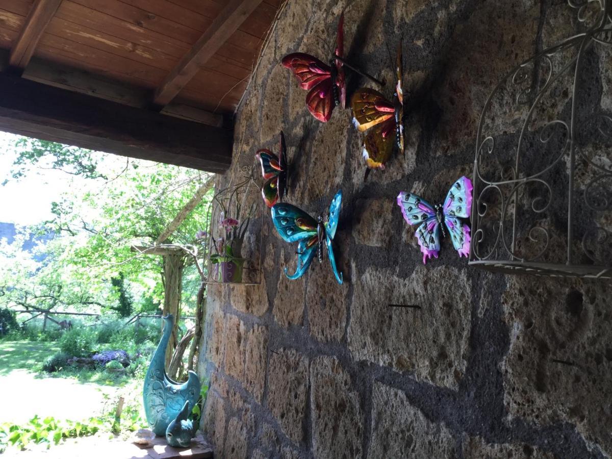 Bed and breakfast L'antico Molino *