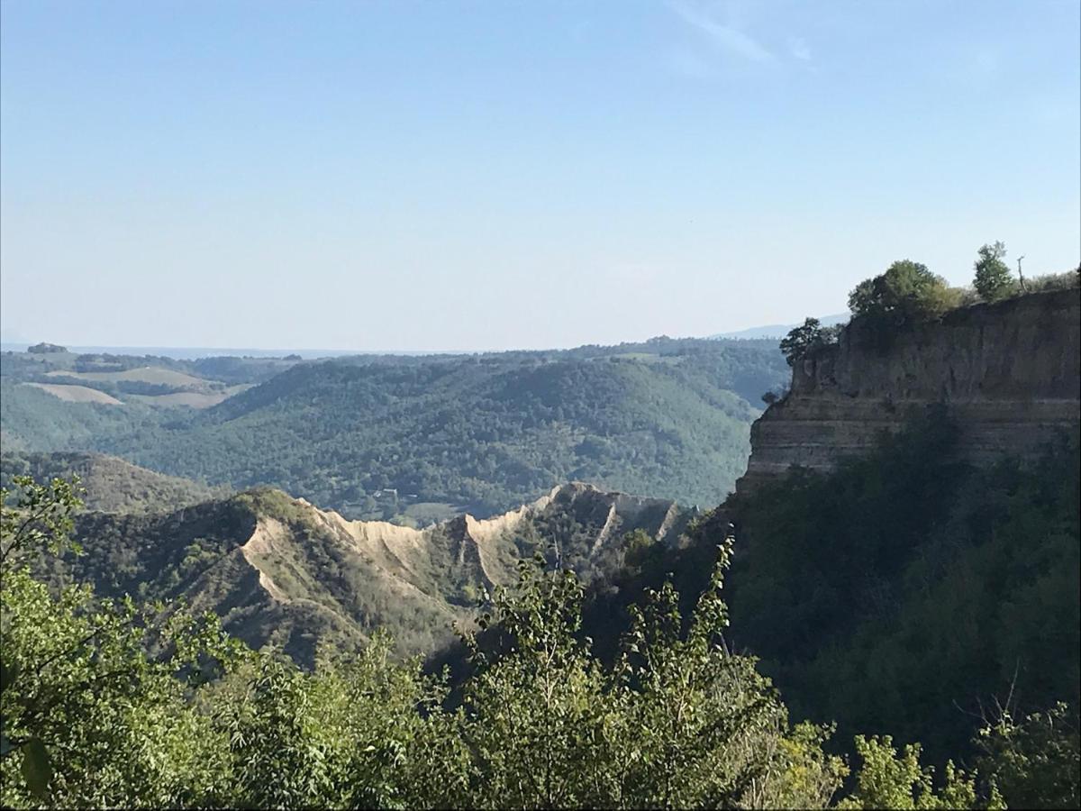 L'antico Molino *