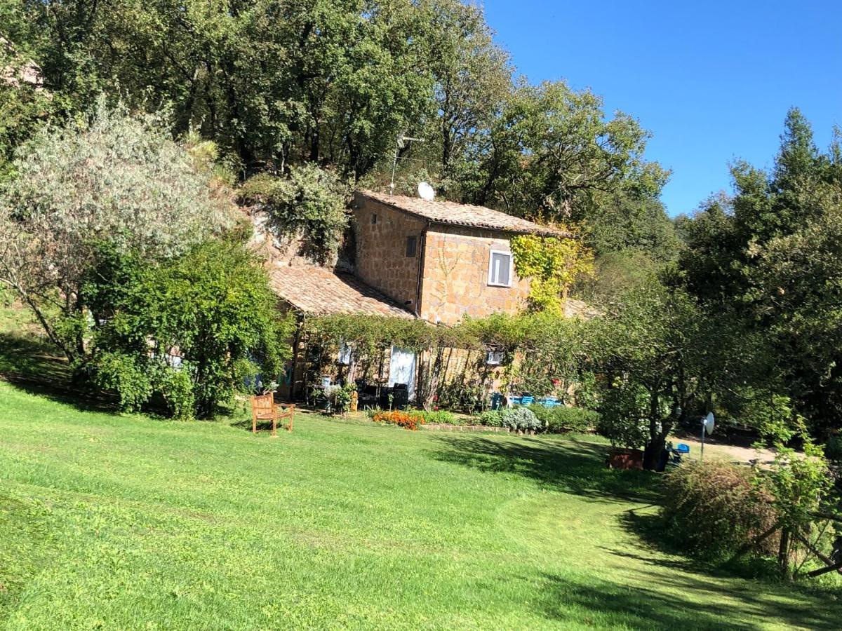 L'antico Molino * Lubriano